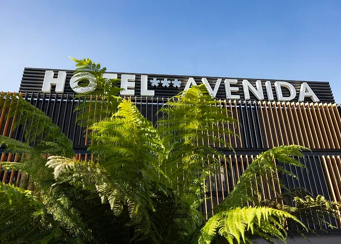 Otel Avenida 3*